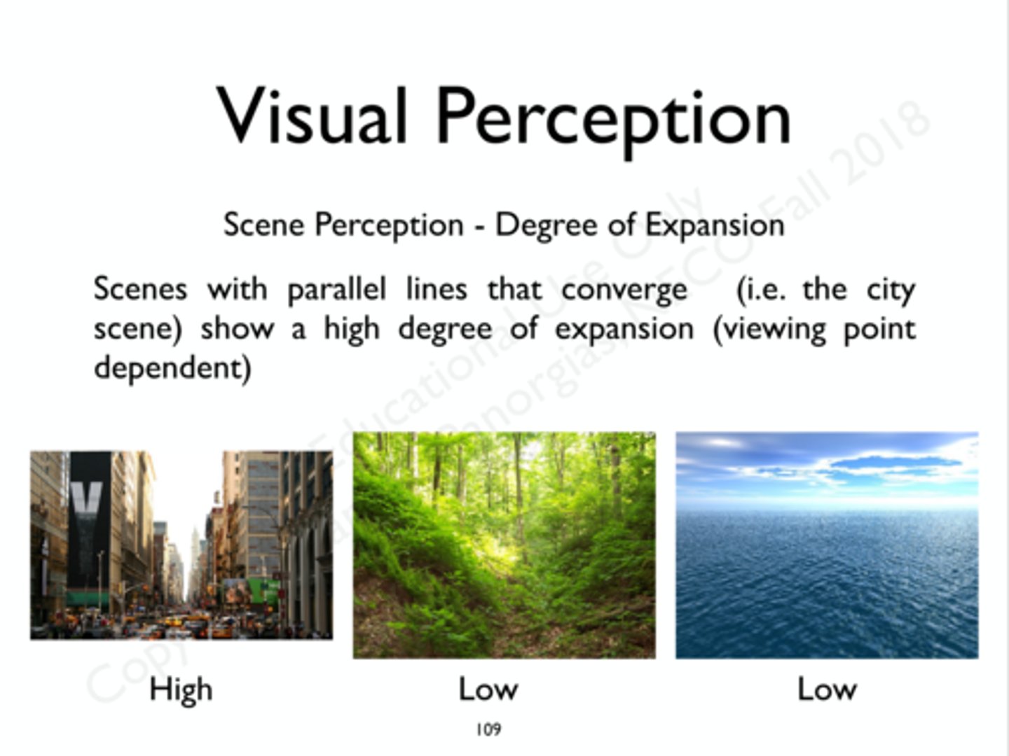 <p>&nbsp;The&nbsp;convergence&nbsp;of&nbsp;parallel&nbsp;lines&nbsp;(e.g.,&nbsp;looking&nbsp;down&nbsp;railroad&nbsp;tracks&nbsp;that&nbsp;appear&nbsp;to&nbsp;vanish&nbsp;in&nbsp; the&nbsp;distance,&nbsp;or&nbsp;in&nbsp;a&nbsp;street&nbsp;scene)&nbsp;indicates&nbsp;a&nbsp;high&nbsp; degree&nbsp;of&nbsp;expansion.&nbsp;</p>