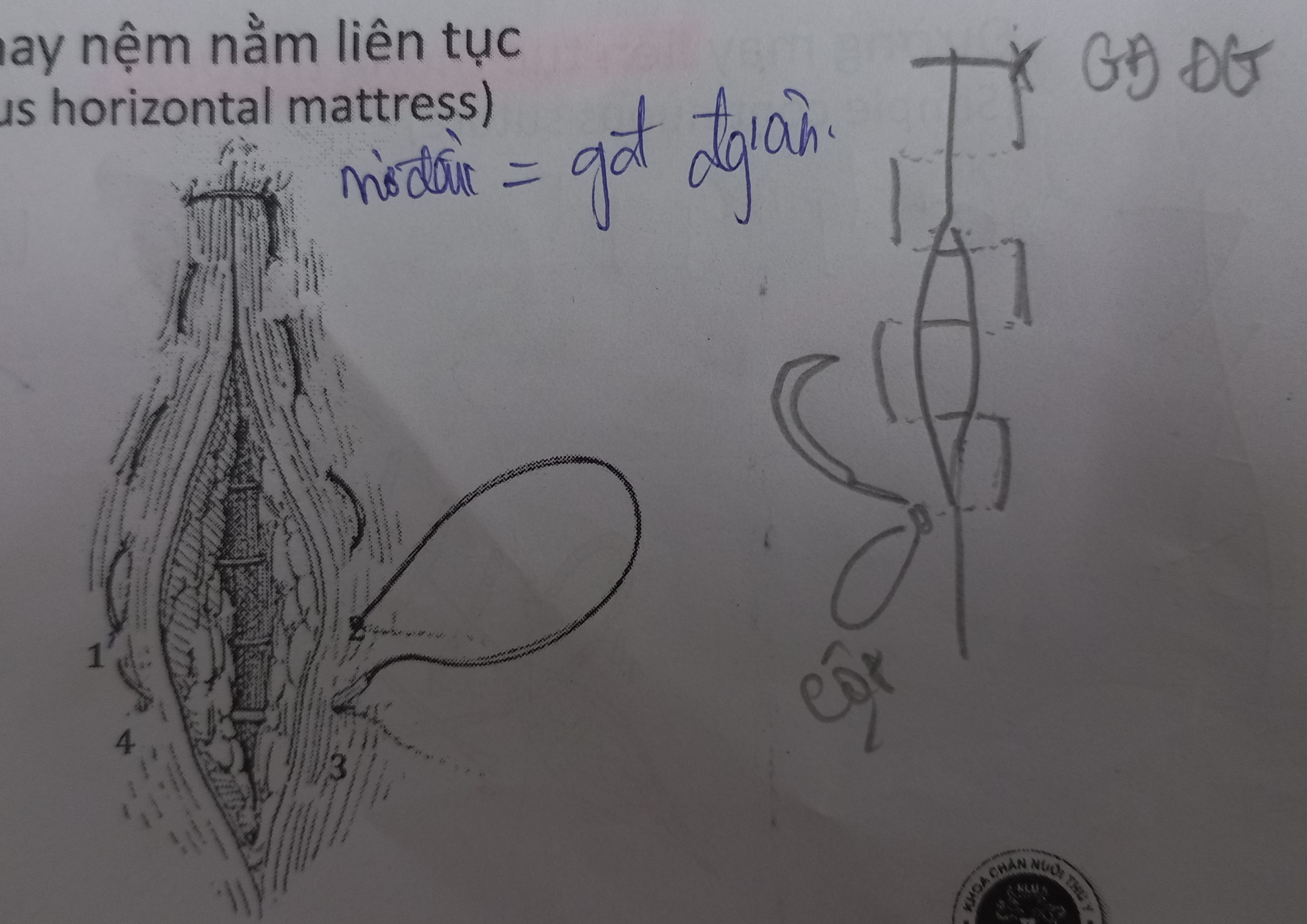 <p>Nệm nằm ltuc</p>