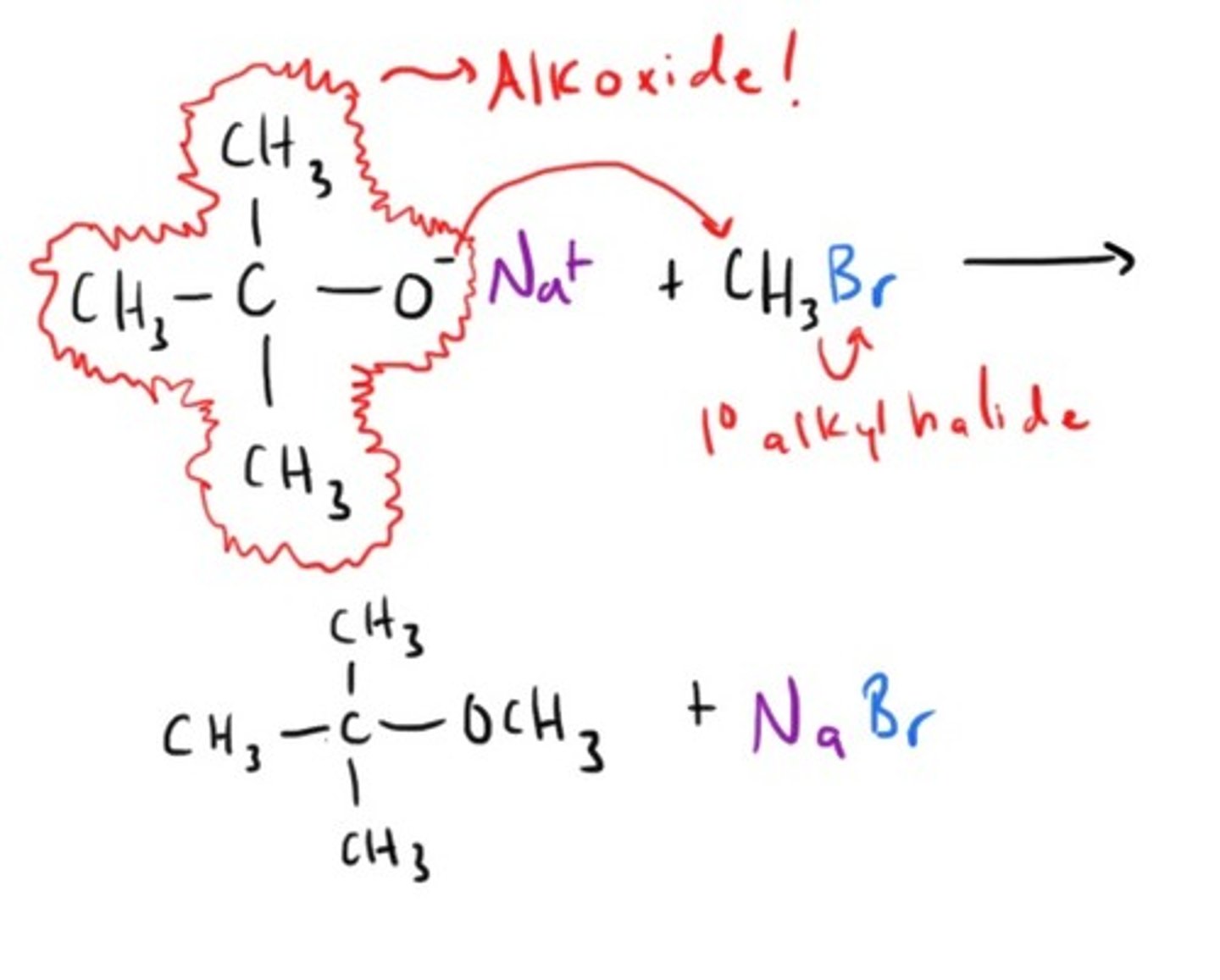 knowt flashcard image