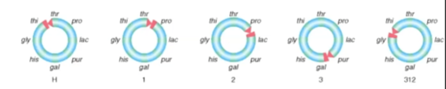 <p>It was circular</p>