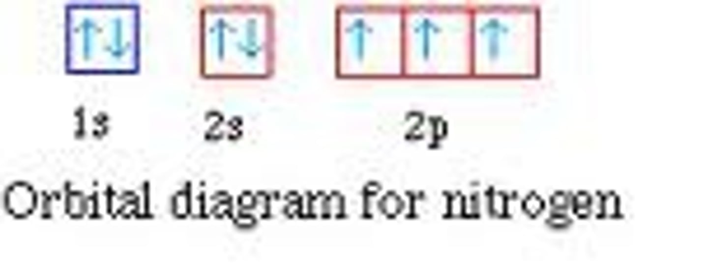 <p>A diagrammatic representation of electron configuration showing electrons as arrows in boxes</p>