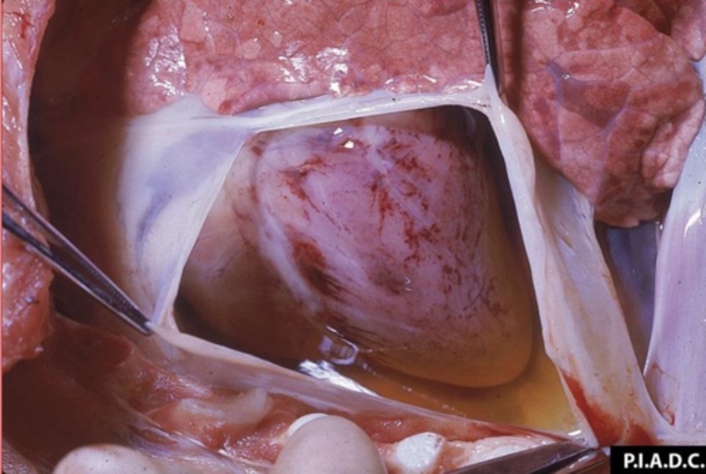 <p>What is this called?</p>