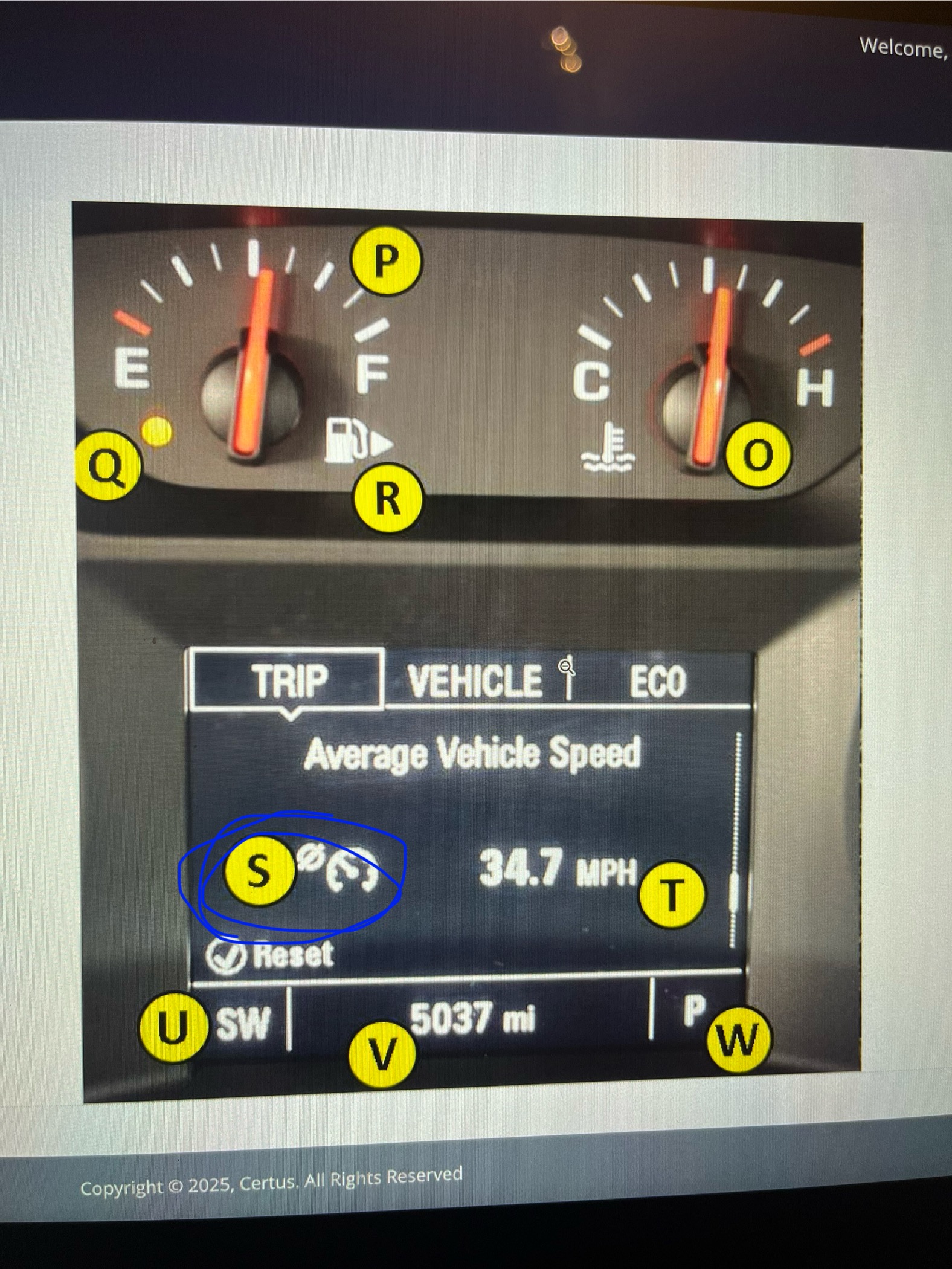 <ul><li><p>Comes on when cruise control system is turned on, but not yet activated</p></li><li><p>Lets driver know they can activate cruise control</p></li></ul>