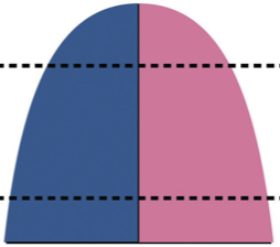 <p><span>In </span><strong>Stage 3</strong><span>, birth rates gradually decrease, usually as a result of improved economic conditions, an increase in women’s status, and access to contraception. Population growth continues, but at a lower rate. Most developing countries are in Stage 3. (Tombstone shape)</span></p>