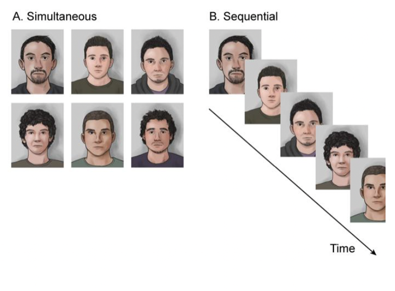 <p>Lineup identification performance is generally poor. Valentine et al (2003) analyzed 640 eyewitnesses identifying suspects in 314 lineups (England)</p><p>Only 40% correctly identified suspect, 20% an innocent person, and 40% couldn’t decide.</p><p><span style="background-color: transparent;"><strong><span>Lineups</span></strong></span></p><ul><li><p><span style="background-color: transparent;"><span>Steblay, Dysart and Wells (2011) – looked at combined experimental studies to compare simultaneous or sequential lineups</span></span></p></li></ul><ul><li><p><span style="background-color: transparent;"><span>When culprit present, was correctly identified 52% of the time with simultaneous presentation vs. 44% of the time for sequential</span></span></p></li></ul><ul><li><p><span style="background-color: transparent;"><span>When culprit absent, innocent person chosen 54% of the time for simultaneous vs. 32% of the time for sequential</span></span></p></li></ul><p>Implications</p><ul><li><p><span style="background-color: transparent;"><span>Appears that eyewitnesses adopt a more liberal/loose criterion when faces with simultaneous displays</span></span></p></li></ul><ul><li><p><span style="background-color: transparent;"><span>Sequential more diagnostic (better at discriminating between innocent and guilty, higher d’)</span></span></p></li></ul><ul><li><p><span style="background-color: transparent;"><span>There is a reduction in correct identification (8%) for sequential but a huge drop (22%) in misidentifications. </span></span></p></li><li><p><span style="background-color: transparent;"><span>Therefore sequential is recommended to reduce misidentification</span></span></p></li><li><p><span style="background-color: transparent;"><span>Misidentifications can be further reduced with addition of “not-sure” option and to emphasize to the eyewitness that the culprit might not be present.</span></span></p></li><li><p><span style="background-color: transparent;"><span>Police have also implemented blind presentation where the cop facilitating the line up does not know who the prime suspect is (to reduce subtle biases)</span></span></p></li></ul><p></p>