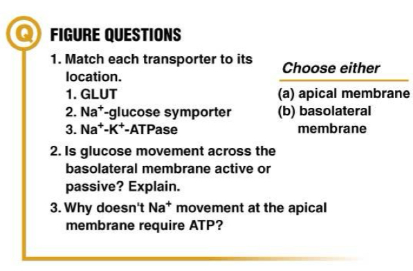 <p>Questions 2 and 3</p>