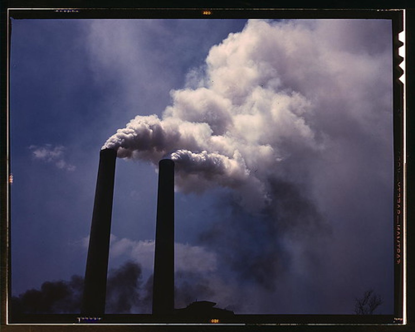 <p>DDT, for example, prevents birds from laying healthy eggs.<br>Acid rain places stress on land and water organisms. <br>Increased carbon dioxide in the atmosphere is dissolving in oceans, making them more acidic, which threatens biodiversity in marine ecosystems.</p>