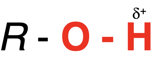 <p>hydrogen bonded to an electronegative atom (O, N, S)</p>