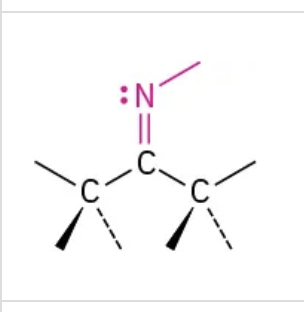 <p>Carbon nitrogen double bond</p>