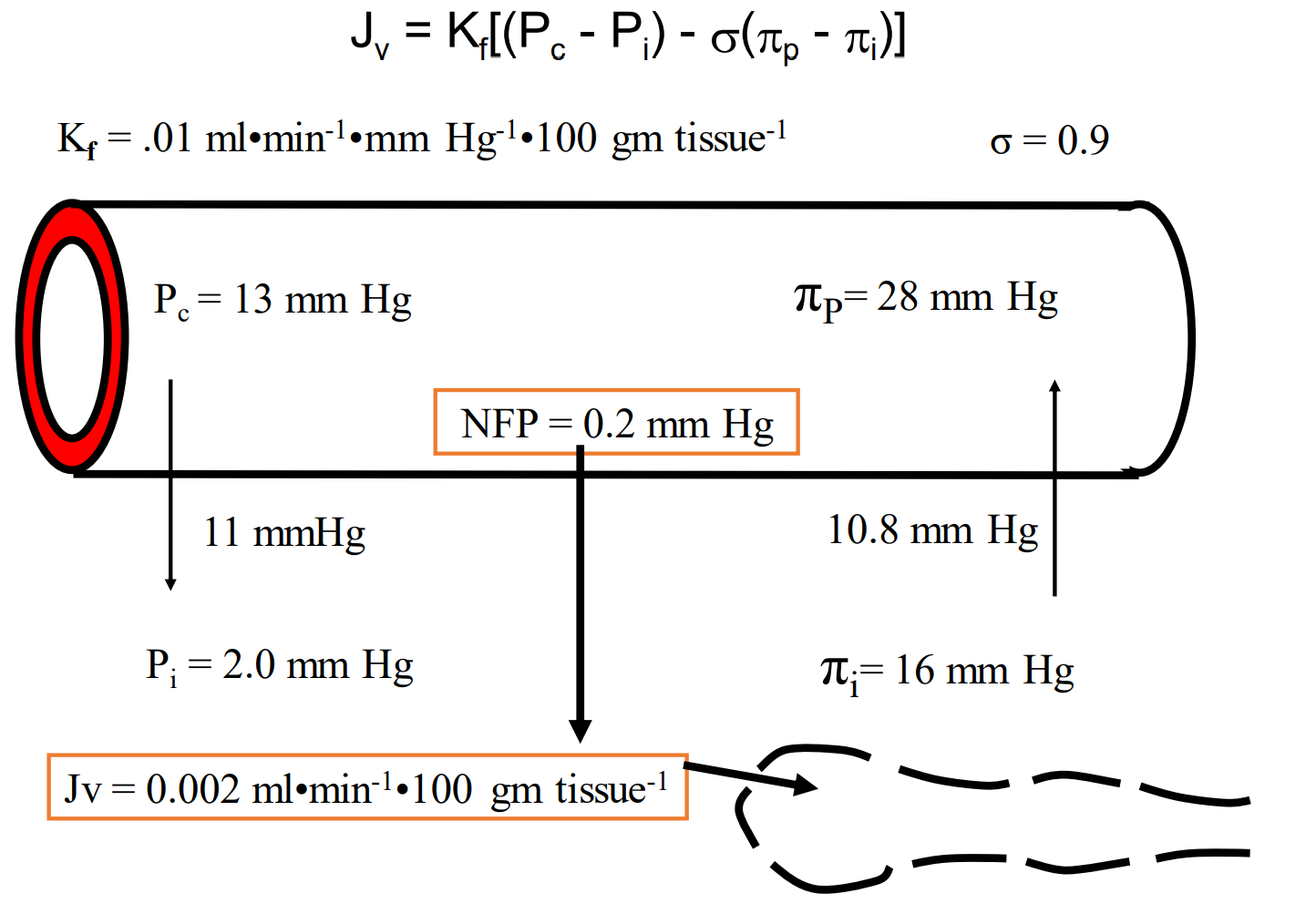 <p>13-2=11 mmHg, gives us Pc-Pi. </p><p>(28-16)*0.9=10.8, gives us sigma*(πP-πI).</p><p>Take the difference between 11 mmHg and 10.8 and we get 0.2 mmHg pointed to the interstitial. </p><p>To get Jv, just multiply that number by Kf (which is 0.01 ml*min<sup>-1</sup>*mmHg<sup>-1</sup>×100 gm tissue<sup>-1</sup>) —&gt; giving us 0.002 ml*min<sup>-1 </sup>x 100 gm tissue<sup>-1</sup></p>