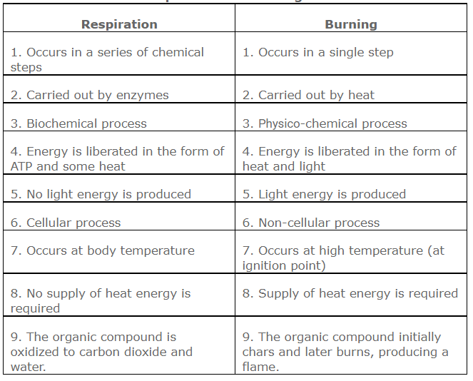 Differences between Respiration and Burning