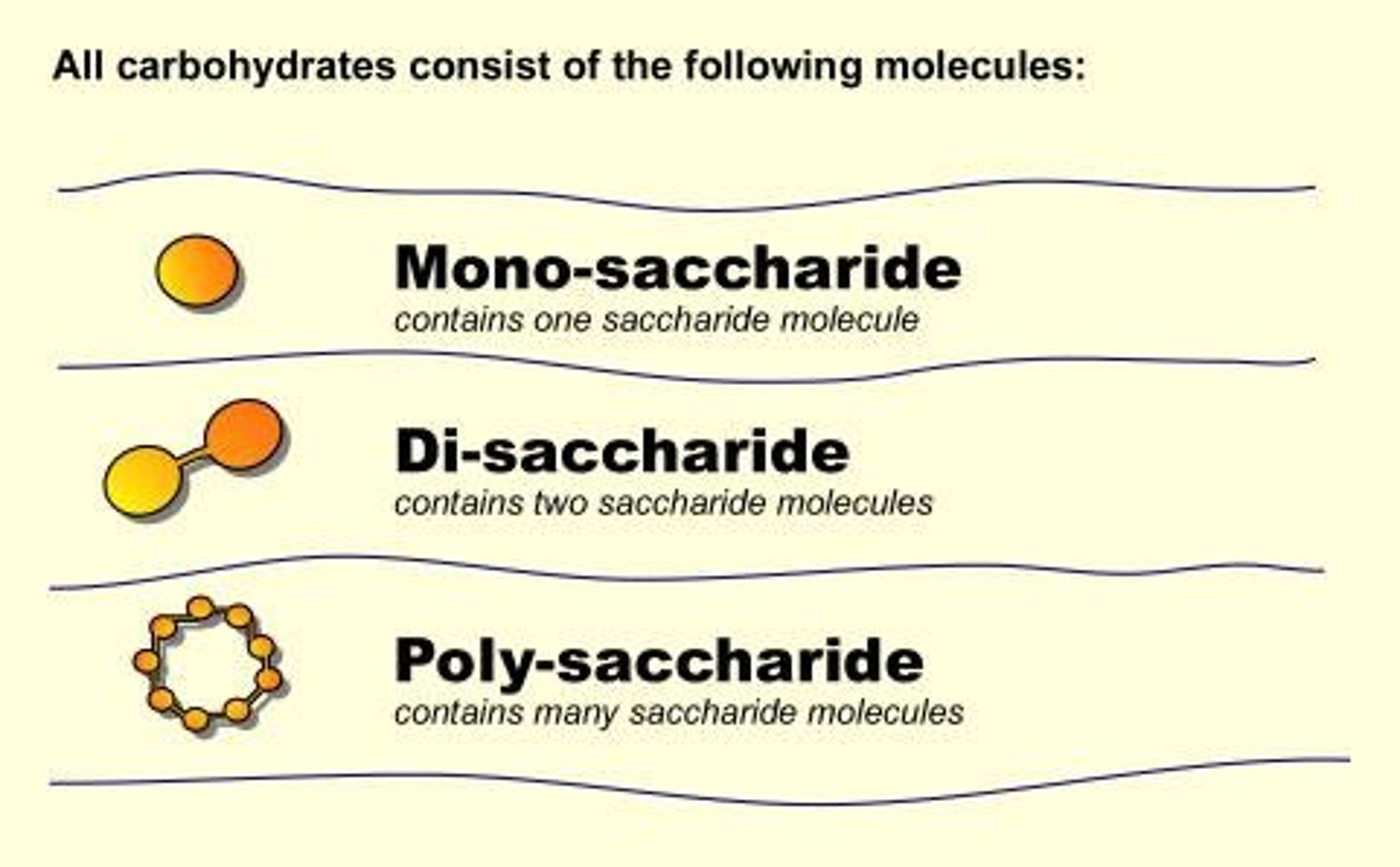 <p>Organic compounds made of sugar molecules.</p>