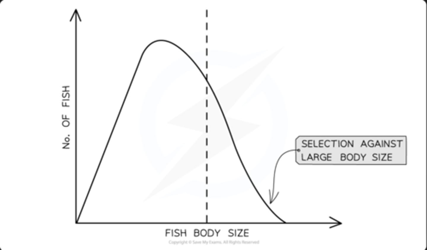 <p>- when the population changes towards one extreme range of variation</p><p>- as that extreme is better adapted</p><p>- usually happens when environmental conditions change, eg, a rise in temperature</p>