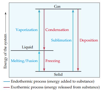 The conversion of a substance from one state of matter to another. The phase changes we consider are melting and freezing (solid ⇌ liquid), sublimation and deposition, and vaporization and condensation (liquid ⇌ gas).