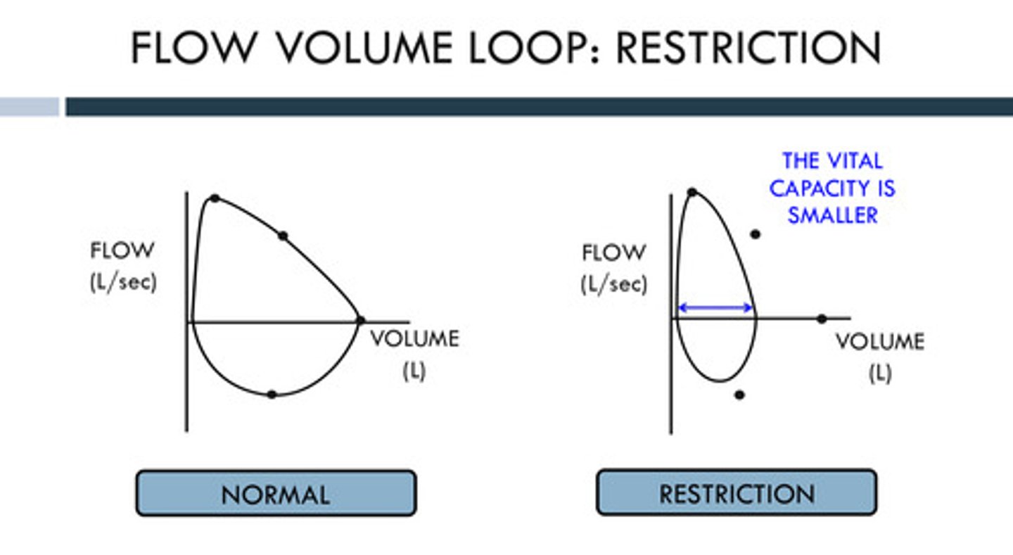 <p>patients with restriction have difficulty maximally expanding the system on inhalation, meaning their vital capacity is smaller as well. the flow-volume loop will be narrowed due to reduced total volume of air and reduced flow rate.</p>