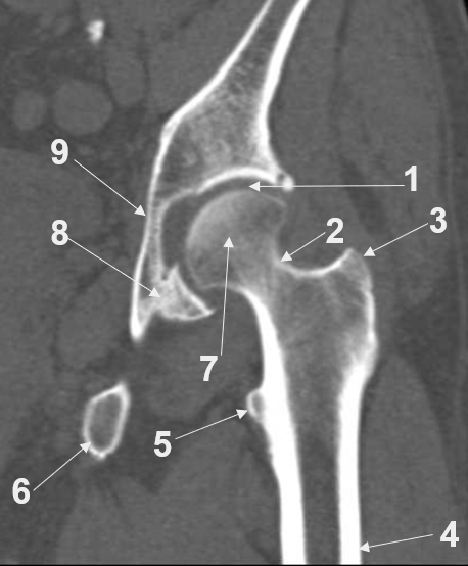 <p>9</p>