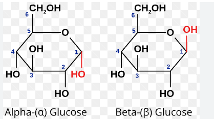 <p>Ring isomerism with differing position of OH group on carbon 1.</p>