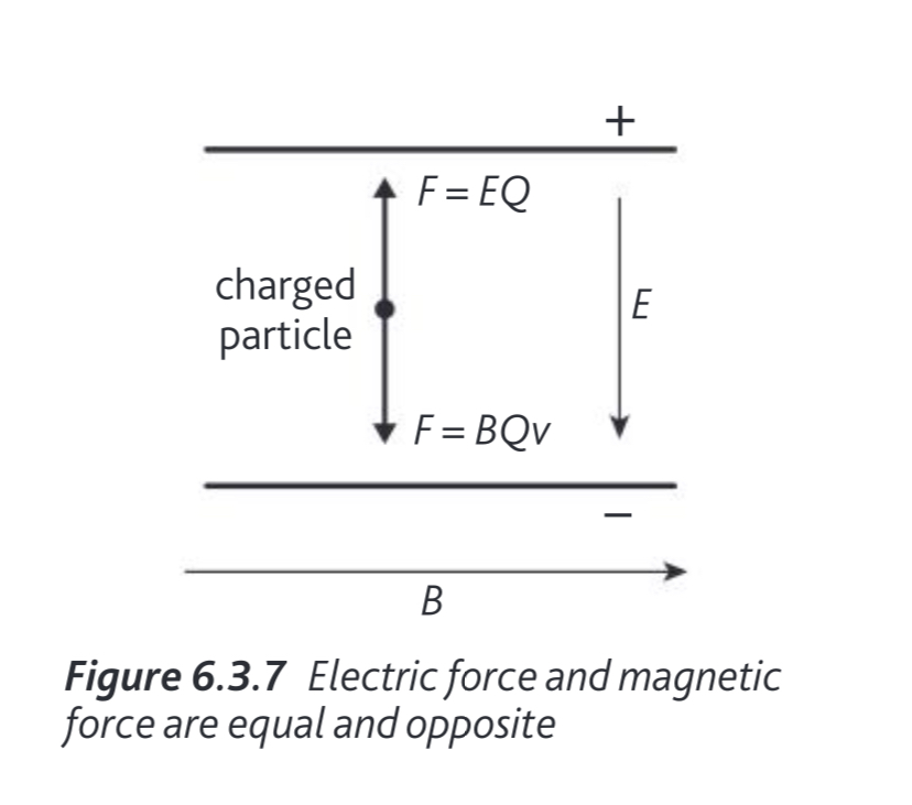 <p>They are equal and opposite in direction</p>
