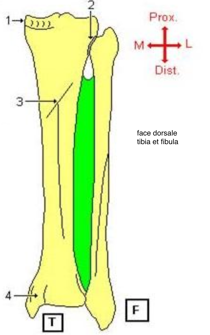 <p>2</p>