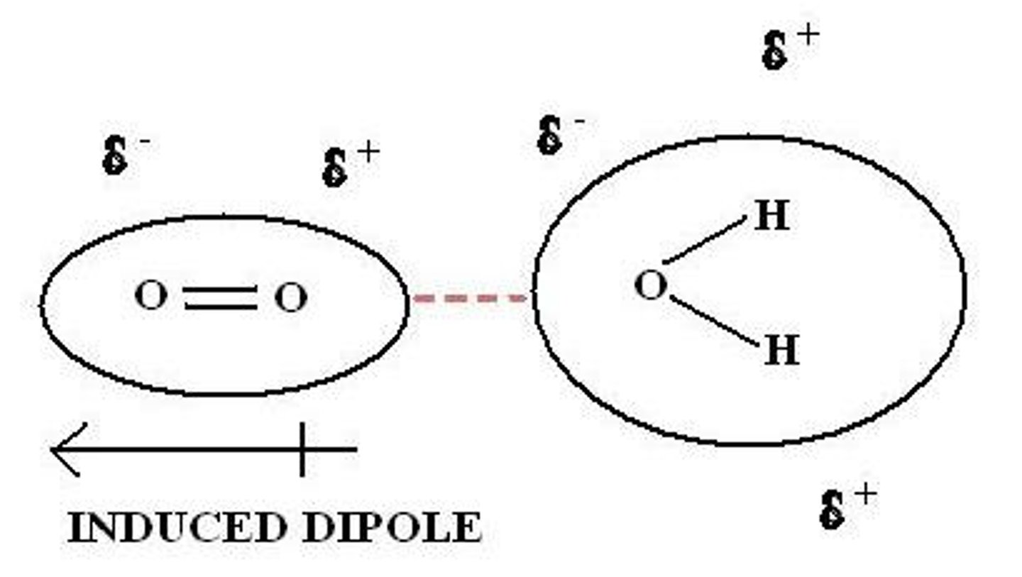 <p>-the electrons in a molecule are constantly moving</p><p>-at any instant, an instantaneous dipole will exist</p><p>-the instantaneous dipole induces a dipole on a neighbouring molecule, which further induces a dipole on neighbouring molecules</p><p>-they attract one another</p>