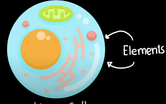 <p>Life is maintained as living cells must take in elements from their environment in order to grow and reproduce. </p>