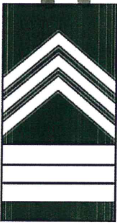 <p>MSG</p>