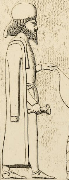 <p>an open overcoat with sleeves</p>