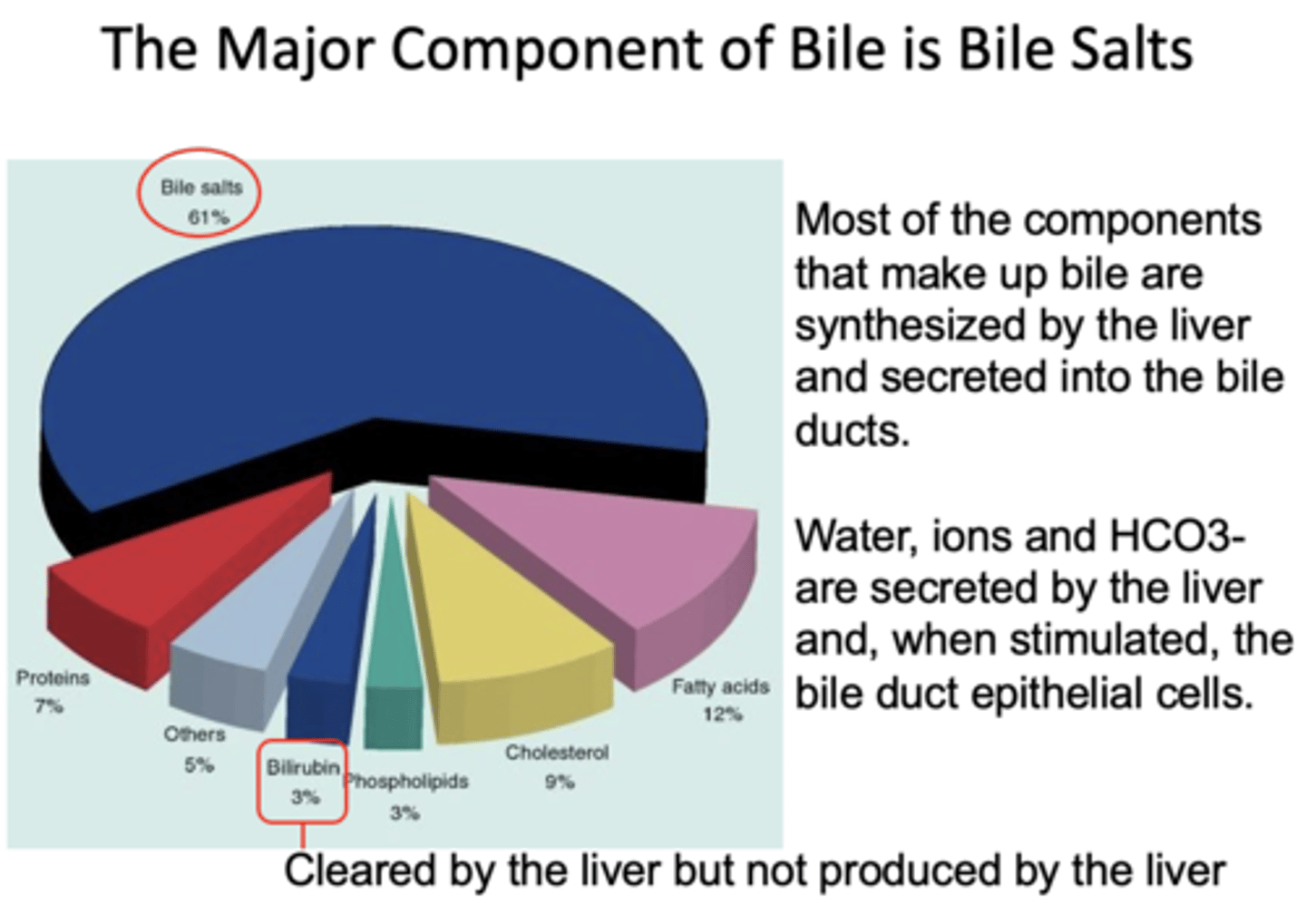 <p>bile ducts</p>