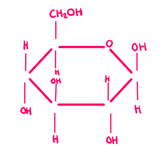 <p>β-glucose</p>