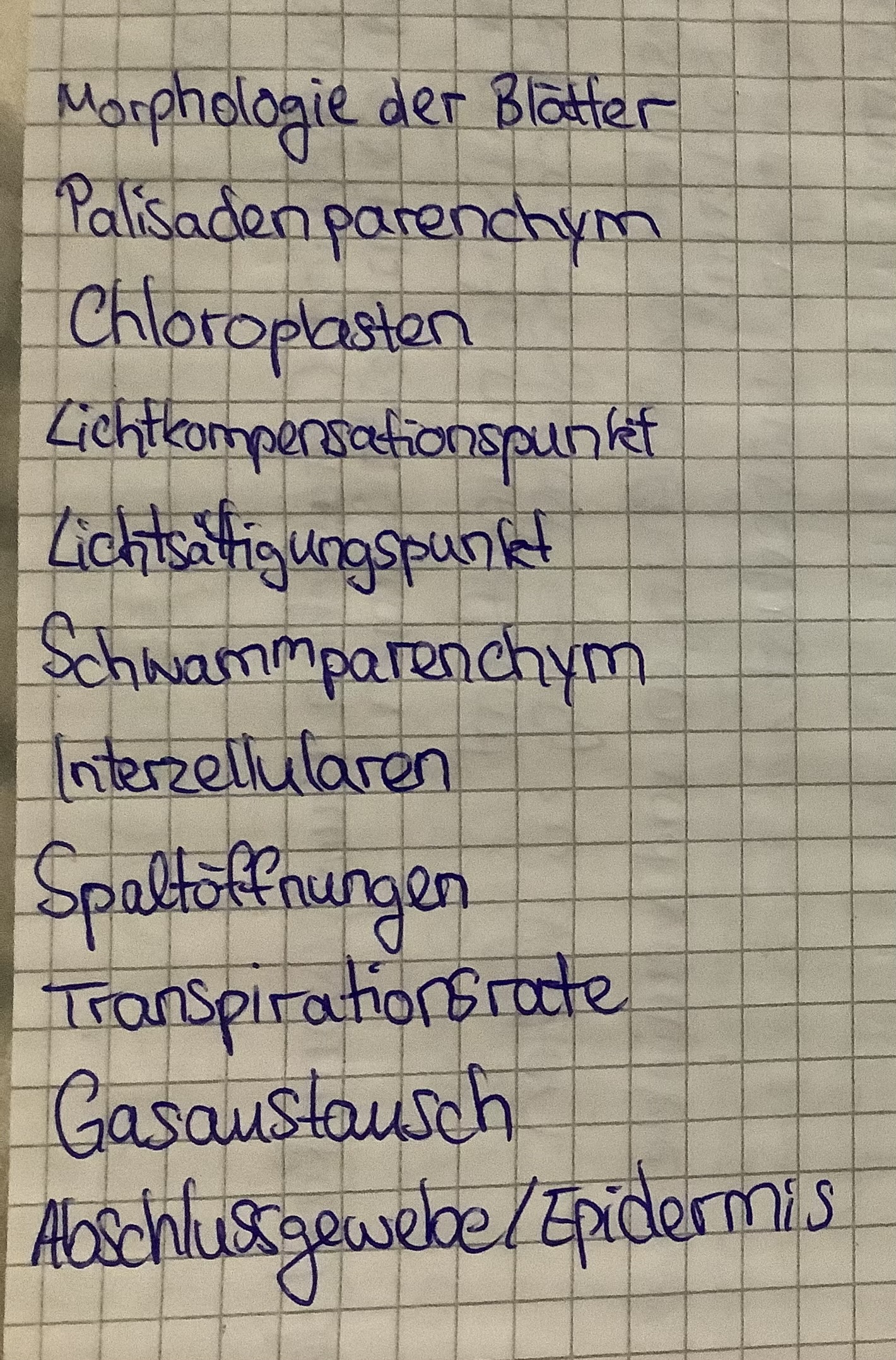 <p>Schattenblätter Anpassungen (Kriterien beachten)</p>