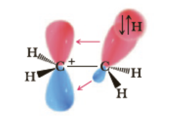<p>This cartoon diagram represents.... select the TRUE answer to complete the sentence.</p>