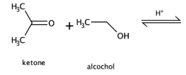 <p>Ketone + Alcohol</p>