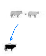 Propose 2 scenarios for type of inheritance for coat colour? What are the expected phenotypic ratios for each case?