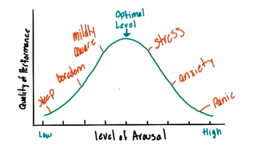 <p>What is Yerkes-Dodson Law?</p>