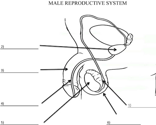 <p>What is 2?</p>