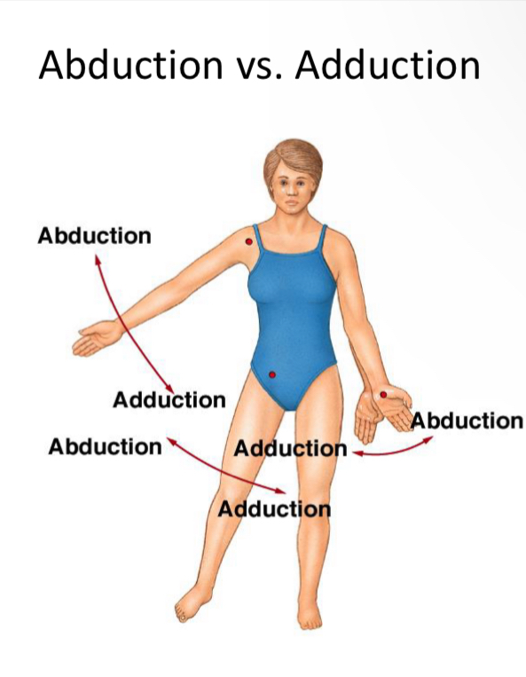 <p>Addiction</p>