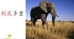 in the end, after all
 (dào dǐ)