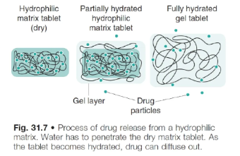 <ul><li><p>polymer material in tablet swells on fluid contact, producing a gel matrix</p></li><li><p>gel allows drug release via either:</p><ul><li><p>gel dissolving with the drug trapped within in</p></li><li><p>gel eroding, which releases/dissolves drug particles trapped within in</p></li></ul></li></ul><p></p>