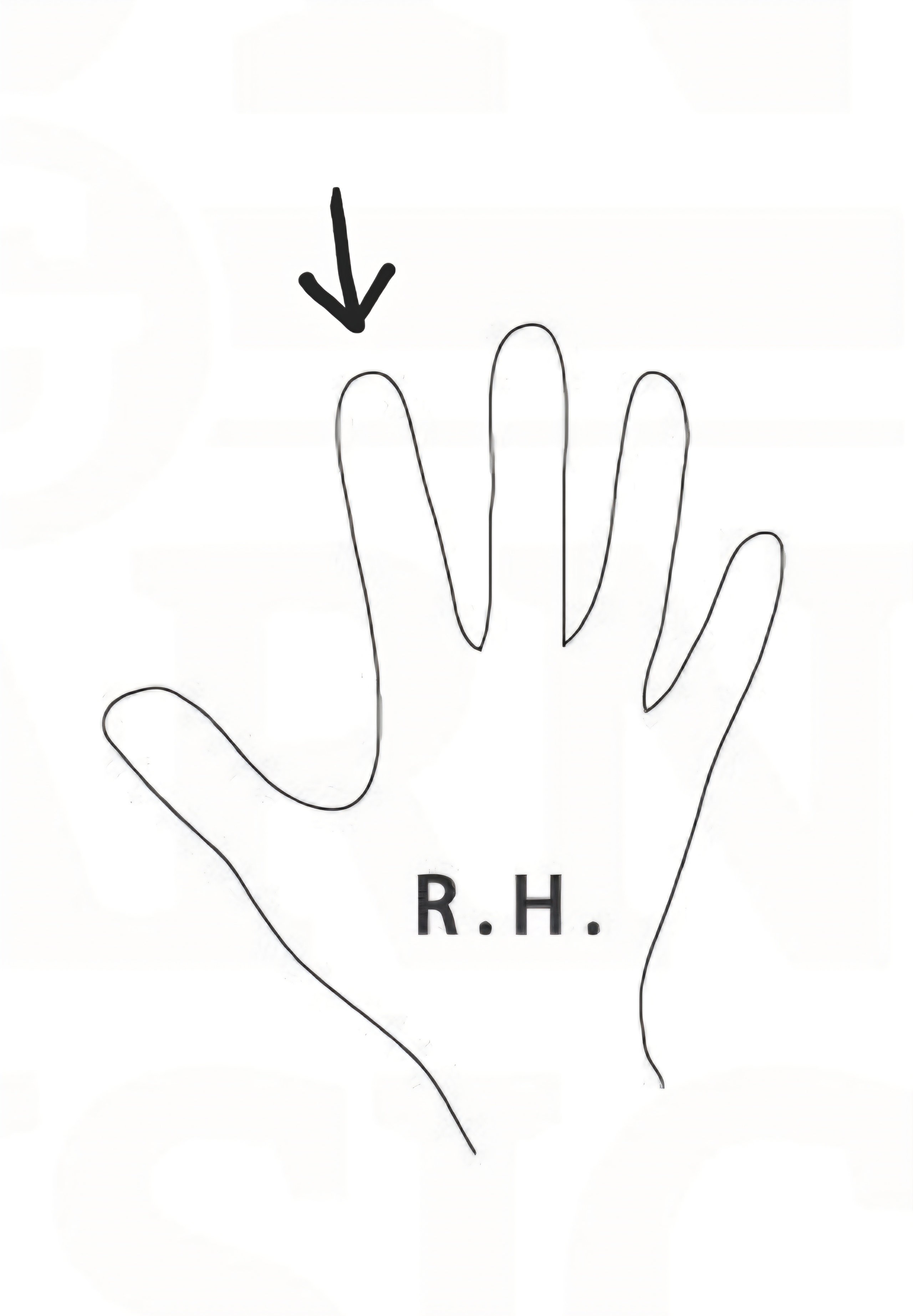 <p>Name the finger number</p>