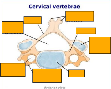 <p>Label clockwise </p>