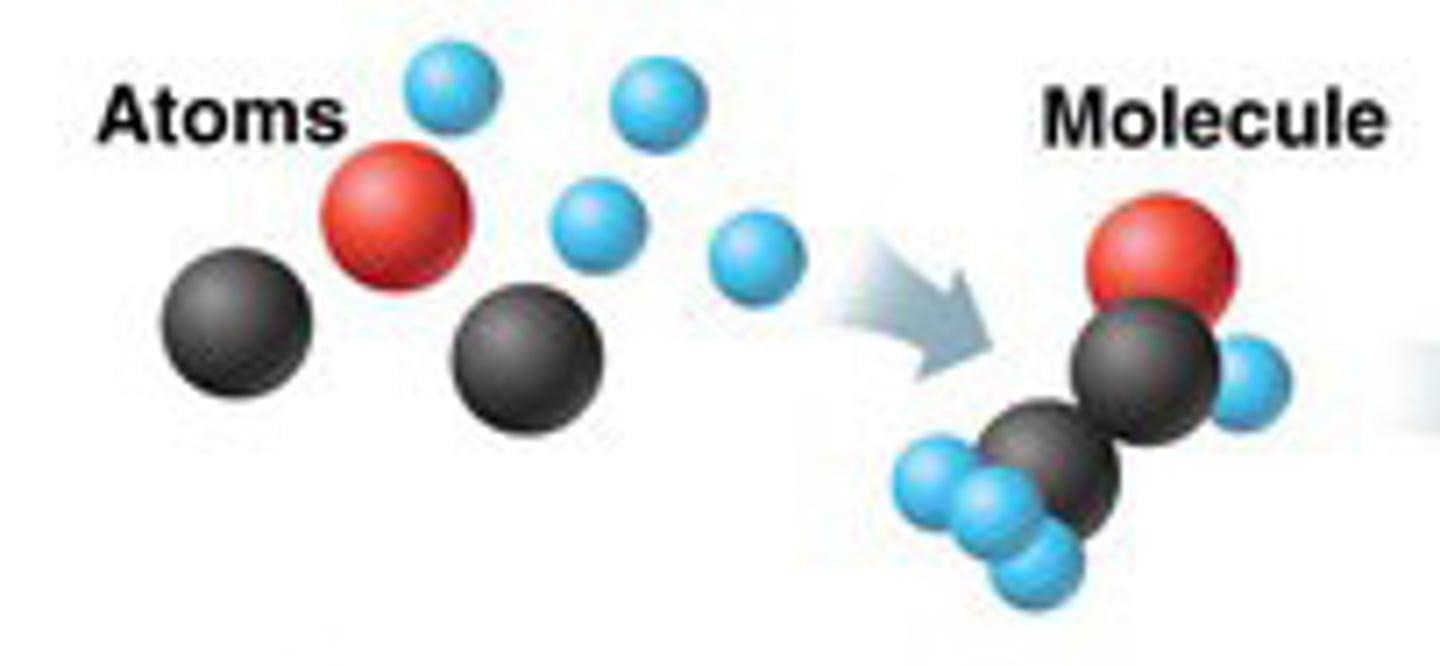 <p>atoms (smallest particles) combine to form molecules; levels of organization</p>