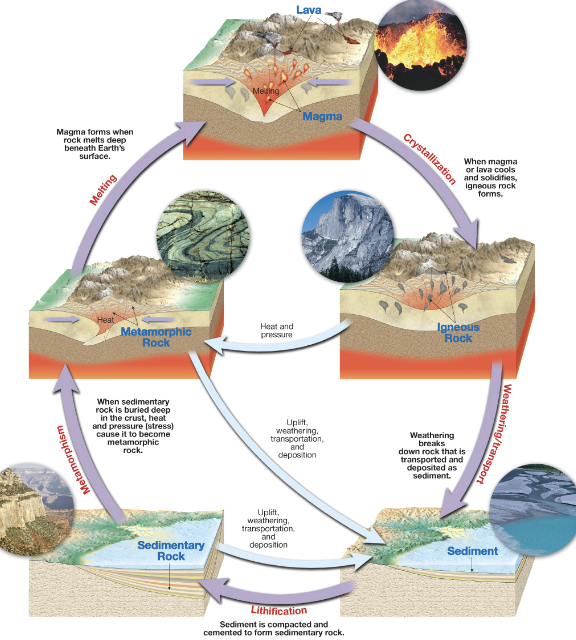 <p>Start with Igneous Rocks forming from cooling magma</p><p>Weathering, Erosion, deposition, and lithification (cementing the sediments together) forms sedimentary rocks </p><p>Heat and pressure on preexisting rocks change them into metamorphic rocks </p><p>Melting in the Earth forms magma </p><p>Start again!</p>