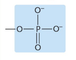 <p>Which functional group?</p>