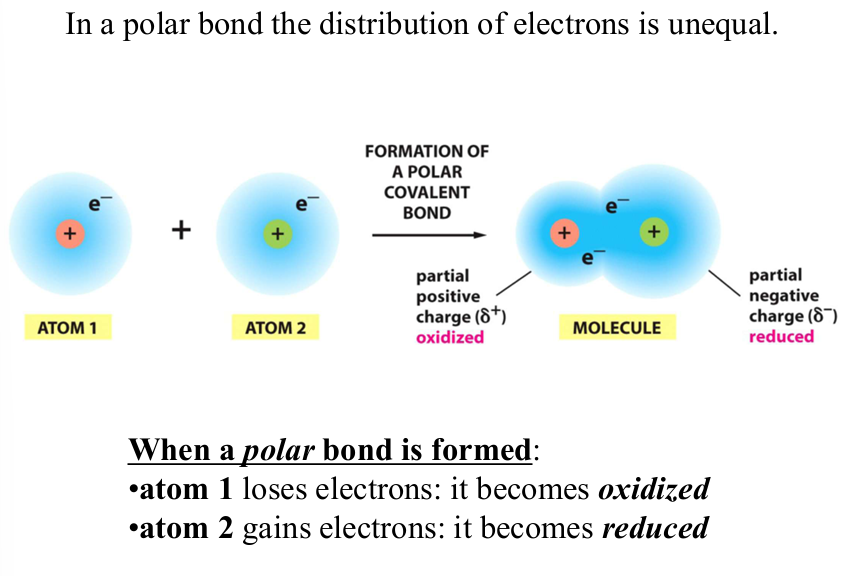 <p>reaction where molecule <strong>gains </strong>electrons</p><p><strong>energetically unfavorable </strong></p>
