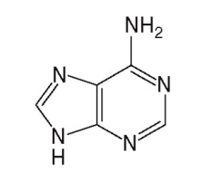 <p>[Identify the Purine Base Structure]</p>