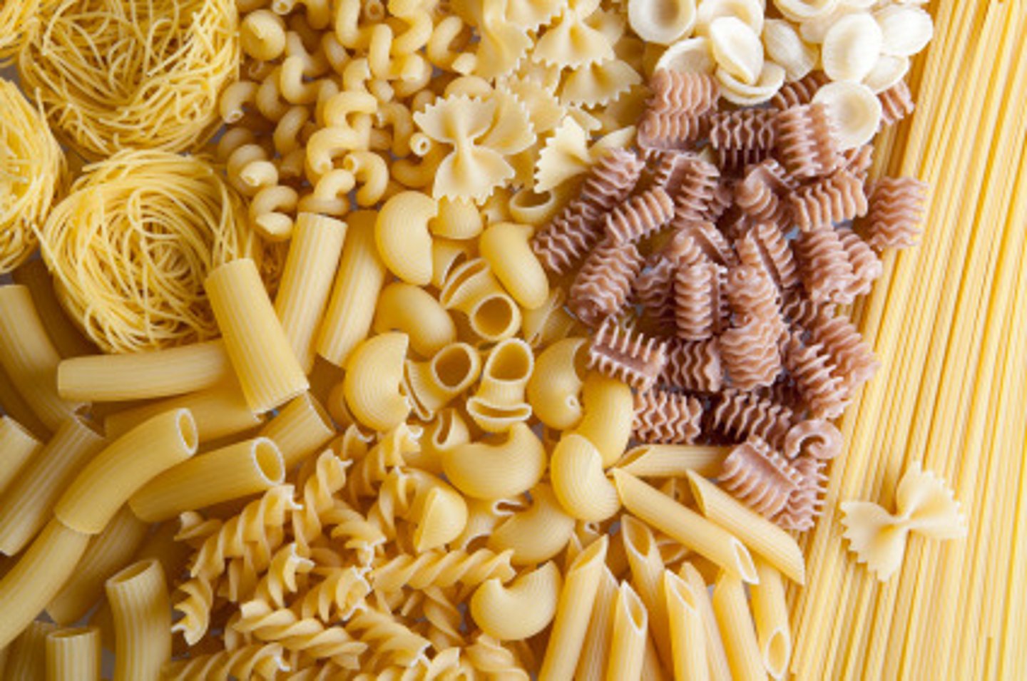 <p>pasta</p>