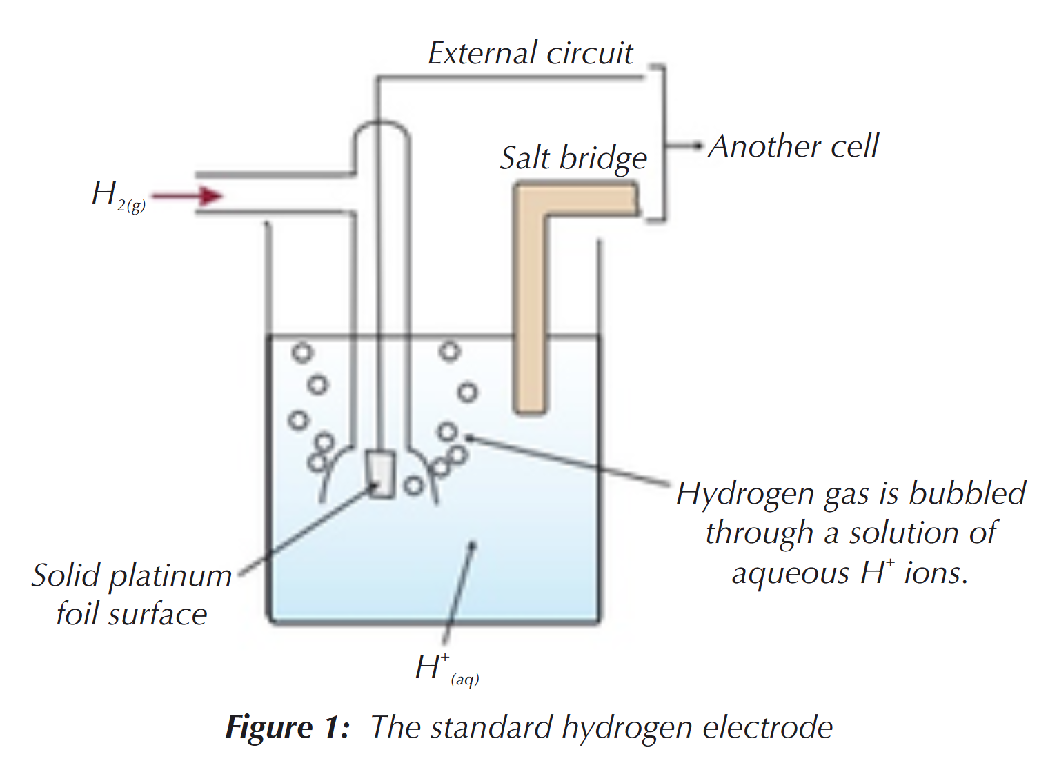 <p>Standard conditions are used to measure electrode potentials:</p><ul><li><p>you measure the electrode potential of a half-cell against a standard hydrogen electrode</p><ul><li><p>hydrogen gas is bubbled through a solution of aqueous H<sup>+</sup> ions</p></li><li><p>a platinum electrode is used as a platform for the oxidation/reduction reactions</p></li></ul></li></ul><p></p>