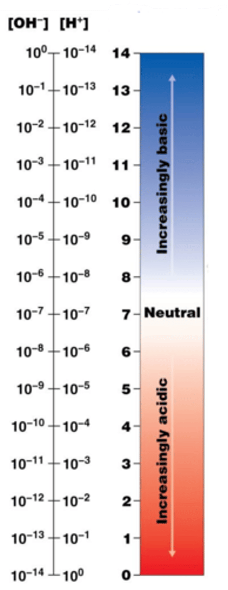 <p>the measure of the concentration of hydrogen ions in a solution</p>