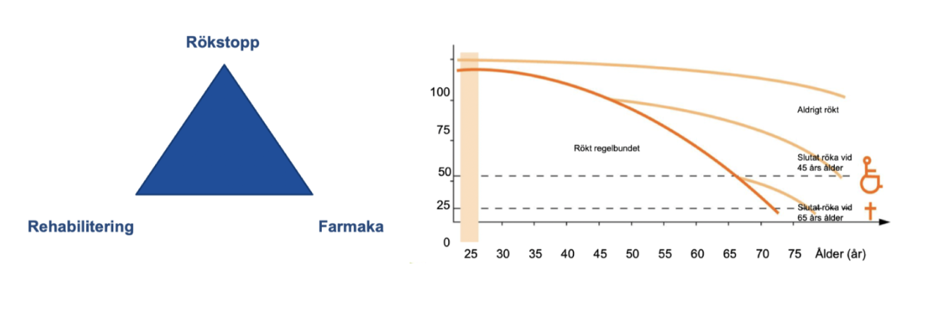 <p>Alla pateinter med KOL rekomenderas rökstopp och livsstilsförändringar (träning, kost). </p>