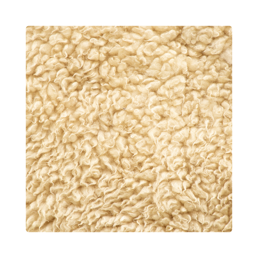 <p><span>Sheep have soft </span><strong>wool</strong><span> that keeps them warm.</span></p>